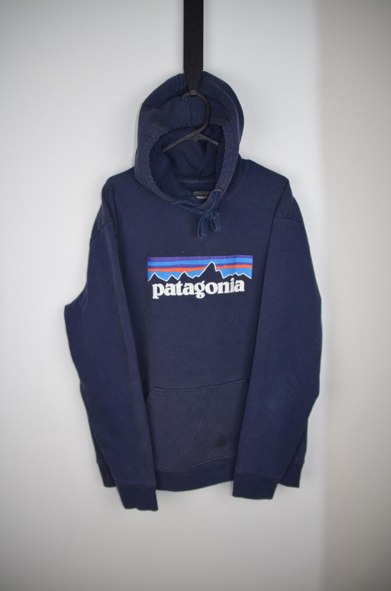 Patagonia Blue Hoodie