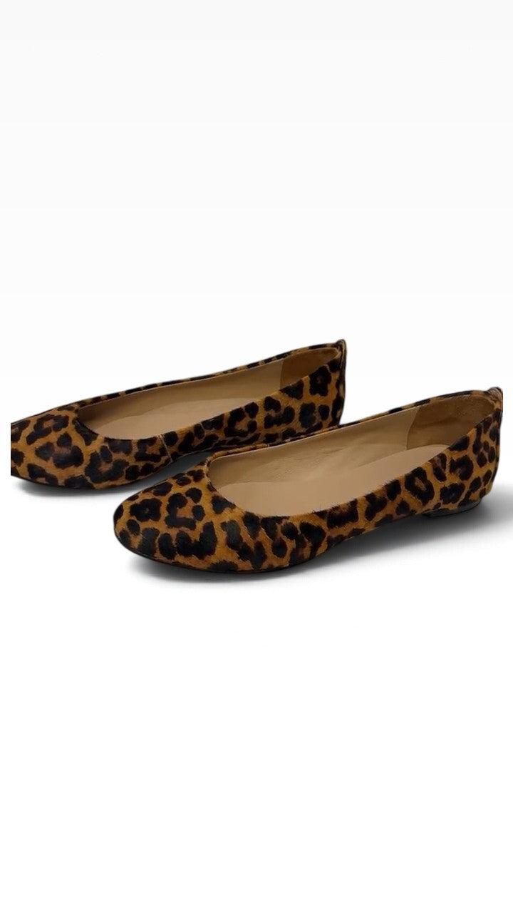 Witchery Leopard Flats 40 thumbnail 3