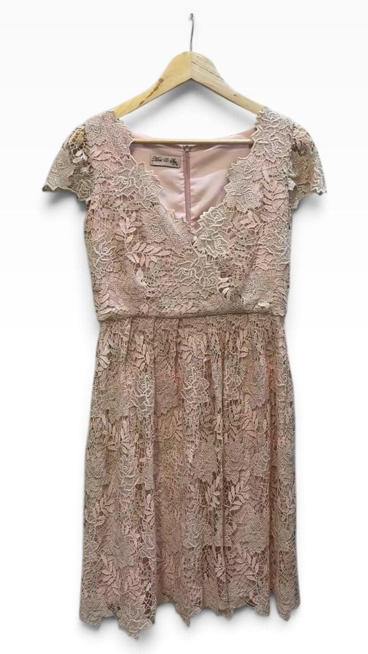 Moss & Spy Pink Lace Dress 10